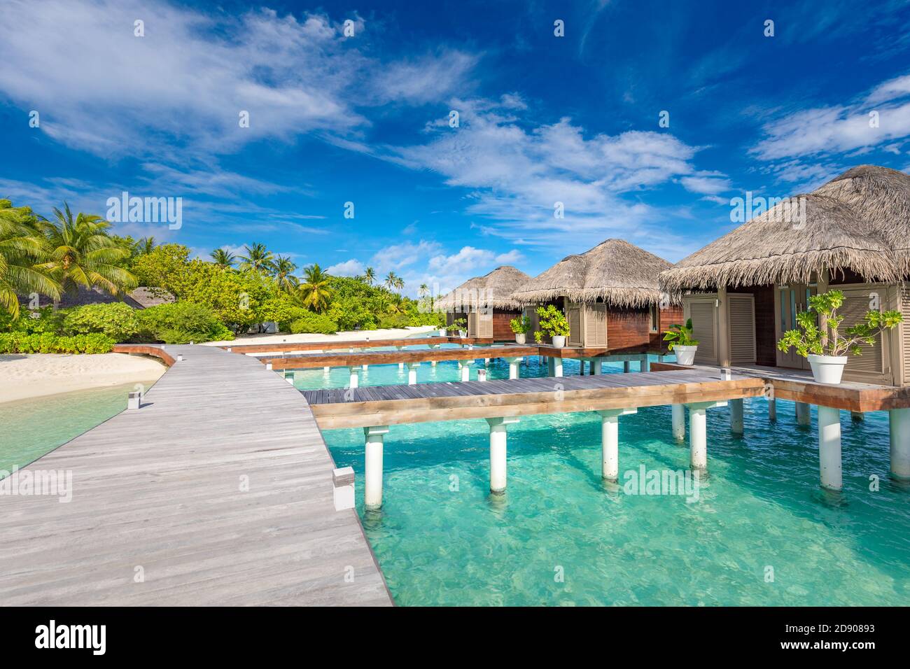 Villas de l'eau bungalows sur l'île tropicale parfaite, beau sable blanc sur la plage tropicale bleu eau bleu ciel avec cocotier, îles Maldives Banque D'Images