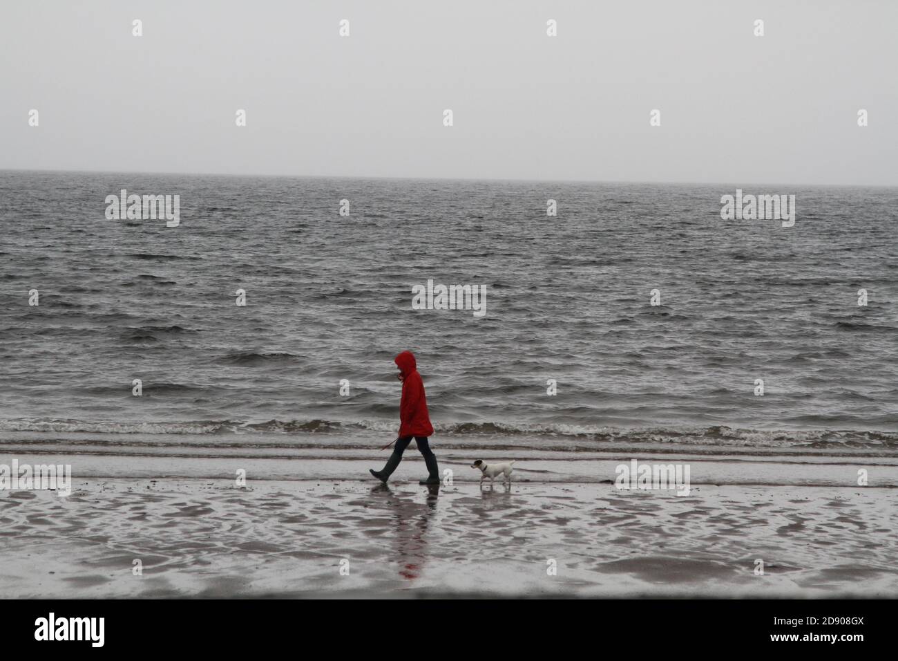 Ayr, Ayrshire, Écosse, Royaume-Uni. Une personne solitaire en manteau rouge marche le chien sur une plage déserte. Isolé seul avec la salle de pensées pour la copie et le texte Banque D'Images