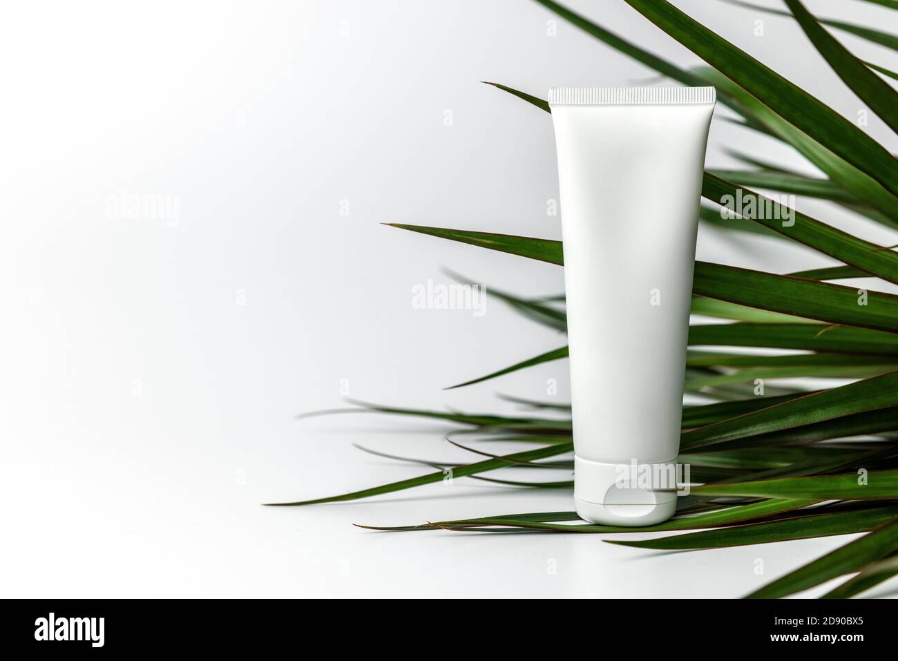 corps peau crème tube et feuilles de paume sur fond blanc avec espace de copie Banque D'Images