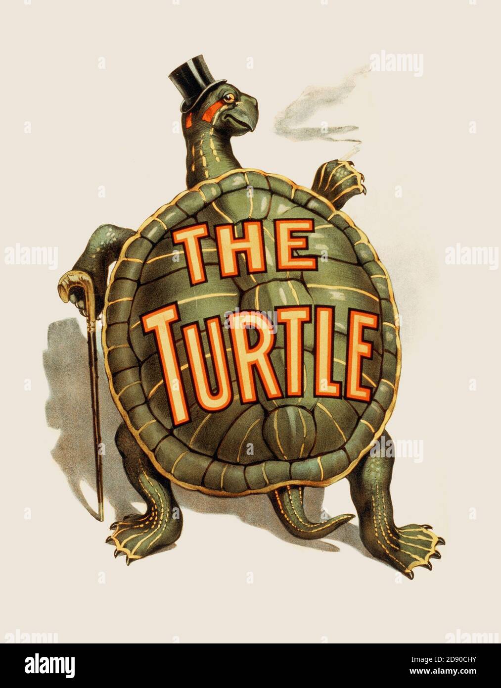 Illustration d'une tortue verte avec chapeau noir, bâton de marche et fumage Banque D'Images
