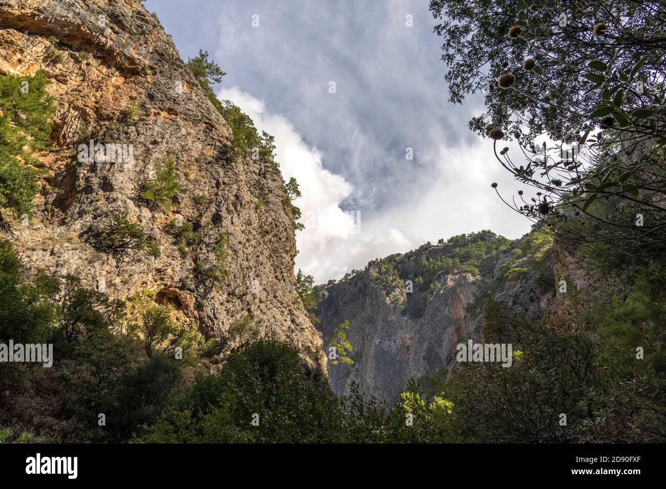 Wanderweg durch die Agia Irini Schlucht BEI Sougia, Kreta, Griechenland, Europa | sentier de randonnée dans la gorge d'Agia Irini près de Sougia, Crète, Gree Banque D'Images