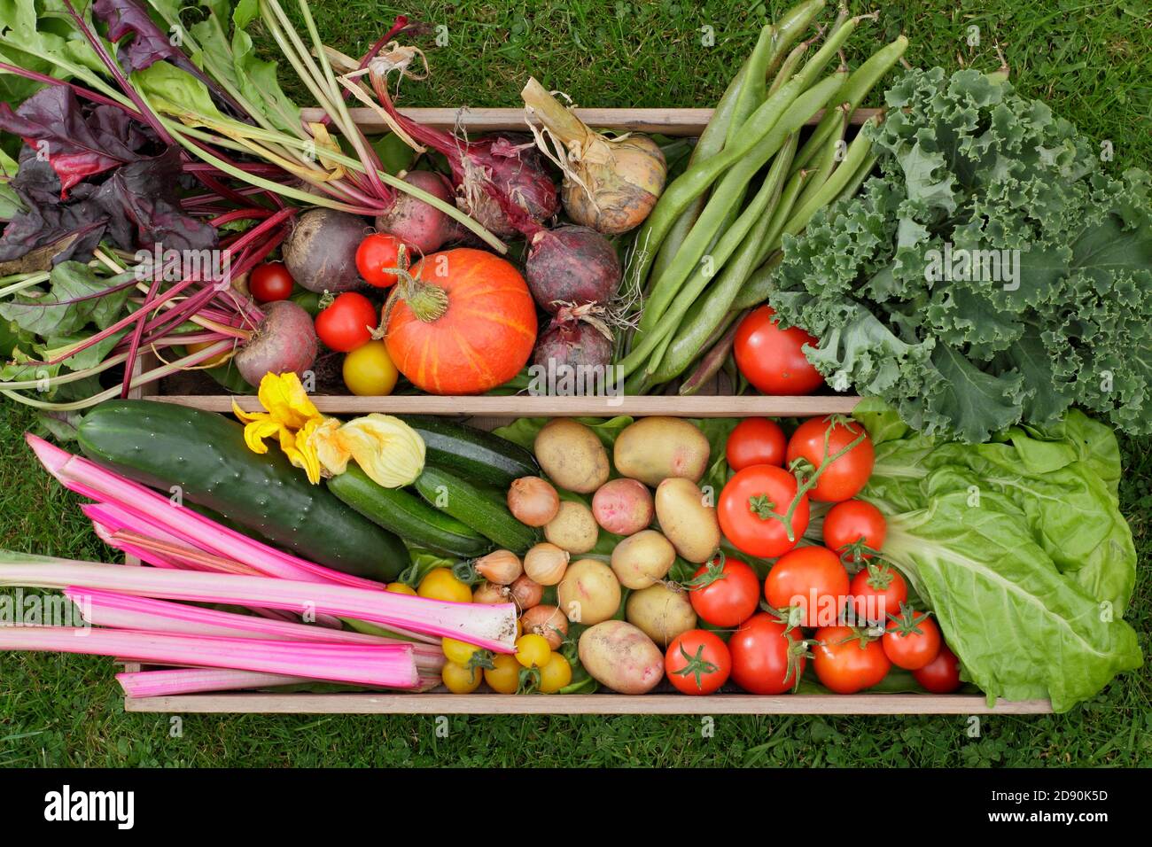 Produits maison cultivés dans un jardin arrière du Royaume-Uni. Verger, concombres, courgettes, potiron, haricots blancs, tomates, chou vert, betterave, oignons, pommes de terre. Banque D'Images
