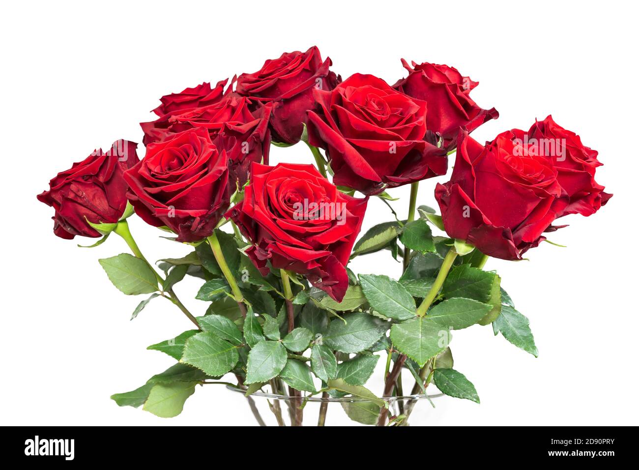 Bouquet de roses rouges isolé sur fond blanc. Banque D'Images