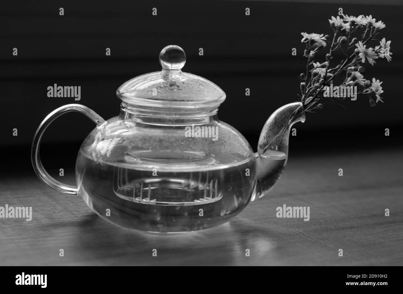 petit arbre en pot Banque D'Images