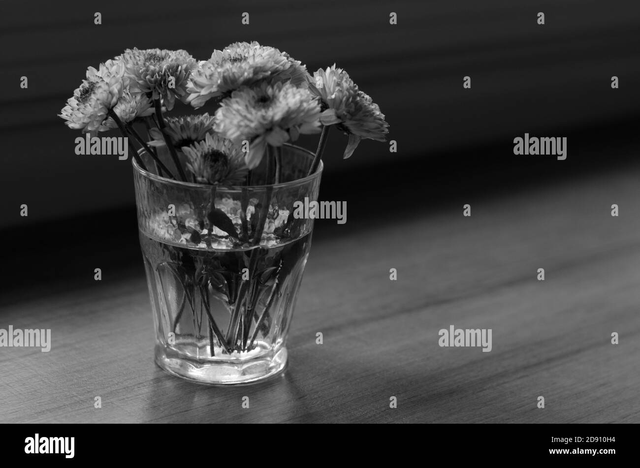 petit arbre Banque D'Images