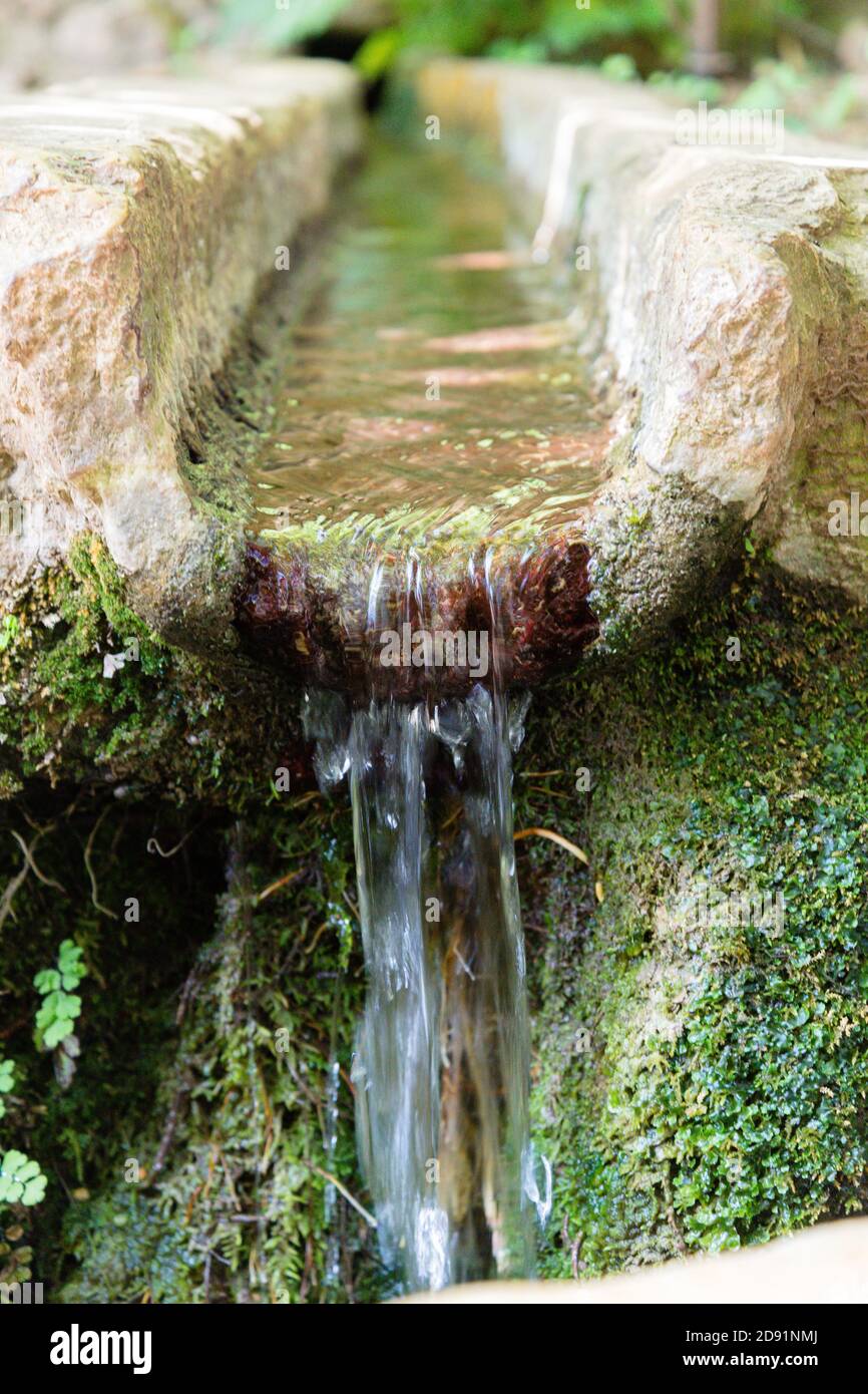 Fontaine d'eau verticale à Quinta das lágrimas, Coimbra, Portugal Banque D'Images