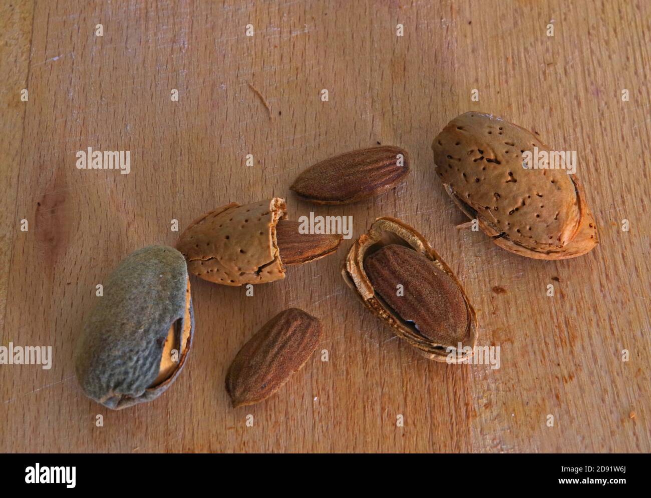 Amandes décortiquées sur bois Banque D'Images