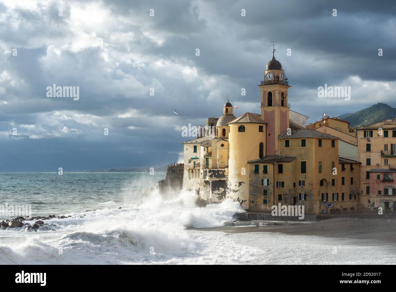 Camogli, beau village italien sur la Riviera Ligurie, province de Gênes, Italie Banque D'Images