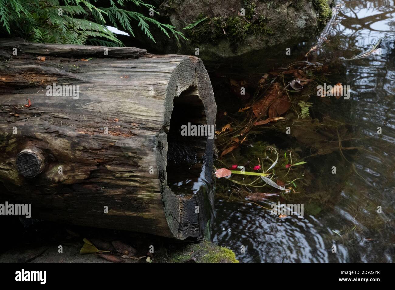 Une fontaine en bois dans un étang aux jardins de Kubota à Seattle, Washington, États-Unis Banque D'Images