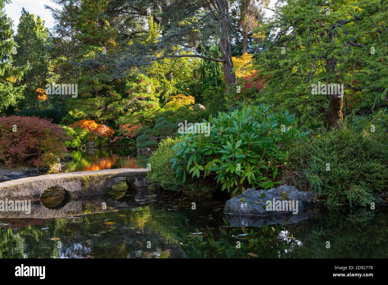 Passerelle au-dessus d'un petit étang dans le jardin Kubota au parc public de Seattle, Washington Banque D'Images