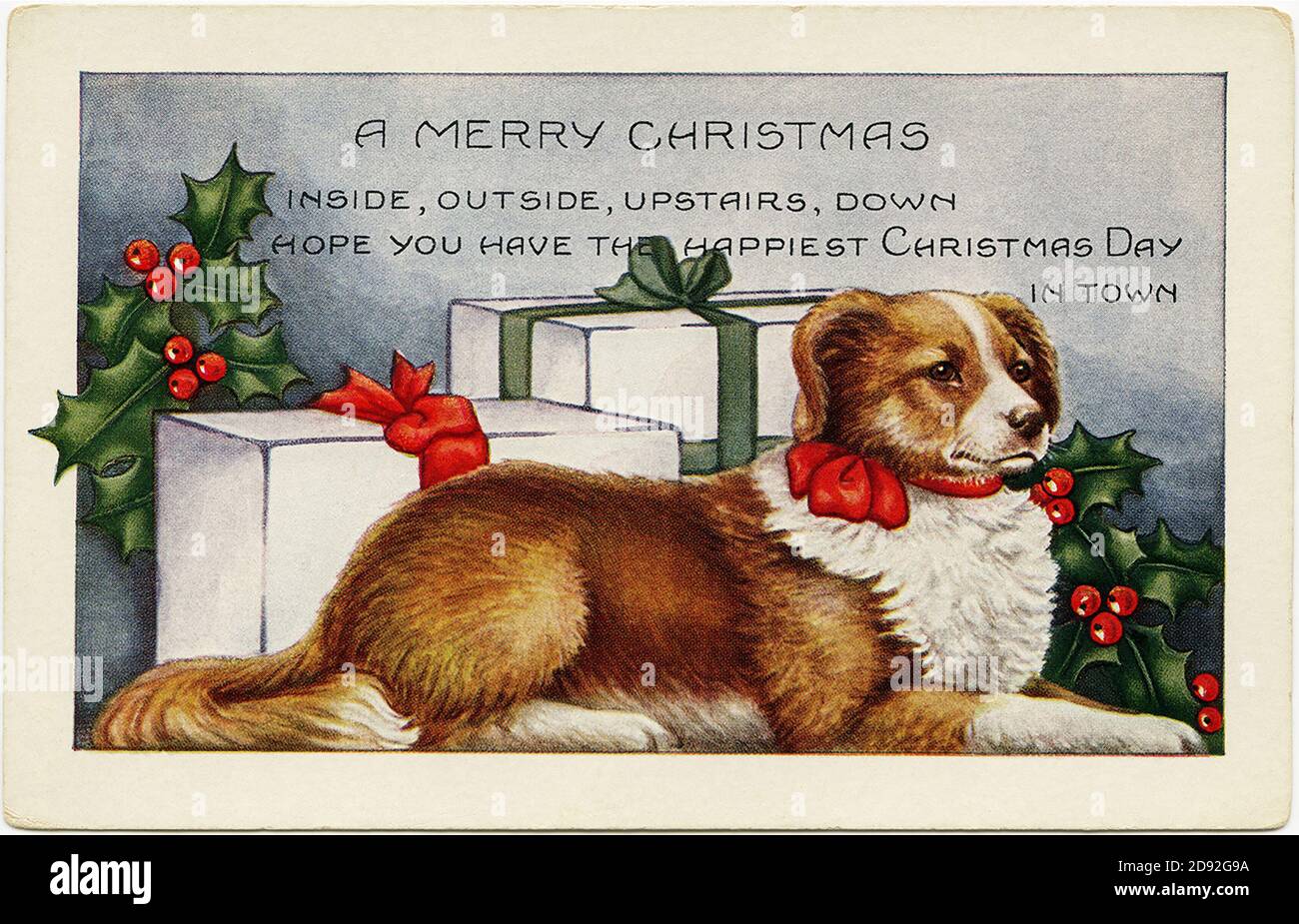 Une carte de Noël joyeuse avec un chien et un chardon aux baies rouges Banque D'Images