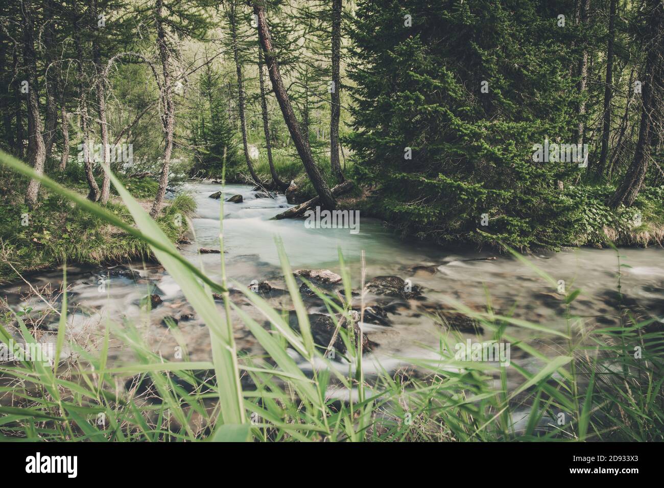 Pittoresque Woodland place et la rivière. Petit ruisseau Mountain River. Thème nature. Banque D'Images