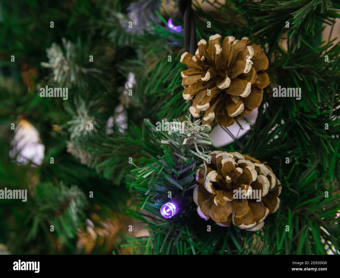 un cône et une branche de sapin vert. Noël et le concept du nouvel an heureux, espace pour le texte de votre conception. Fond d'écran. Banque D'Images