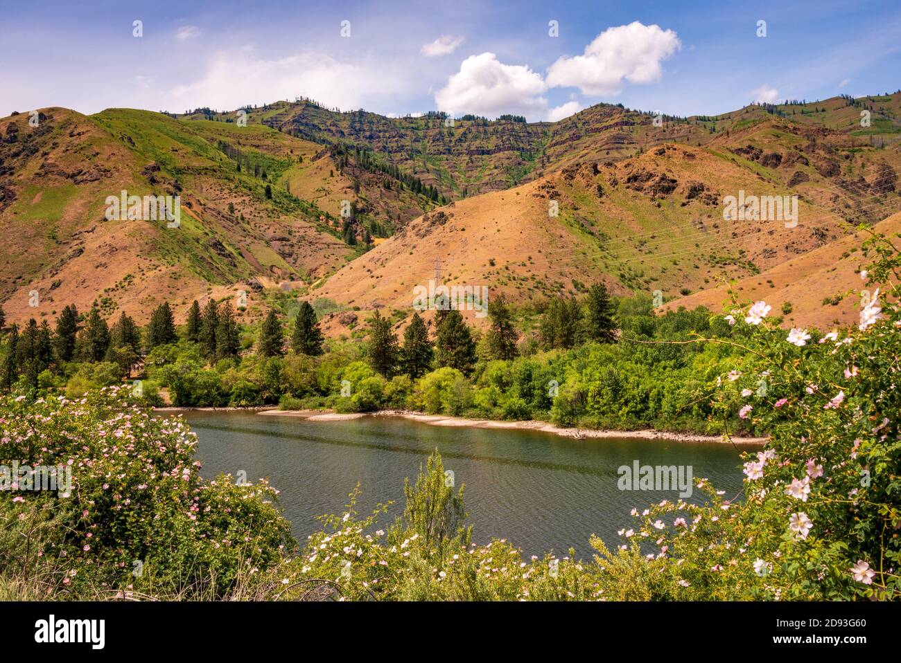 Hells Canyon National Recreation Area Banque D'Images