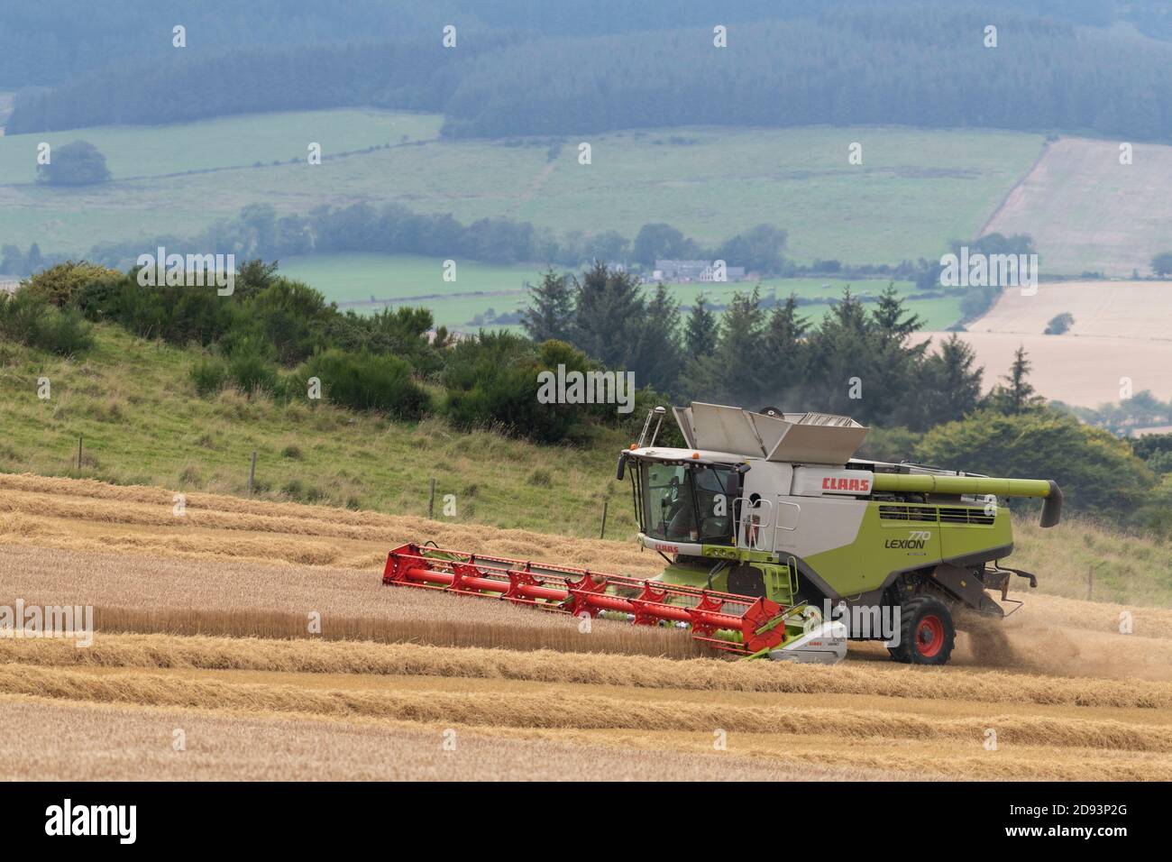 Une moissonneuse-batteuse Claas travaillant dans un champ sur un Colline à la fin de l'été Banque D'Images