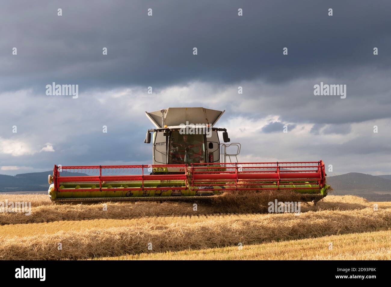 Vue avant de la moissonneuse-batteuse Claas dans un champ D'orge avec la barre de coupe relevée à la fin de Une course Banque D'Images