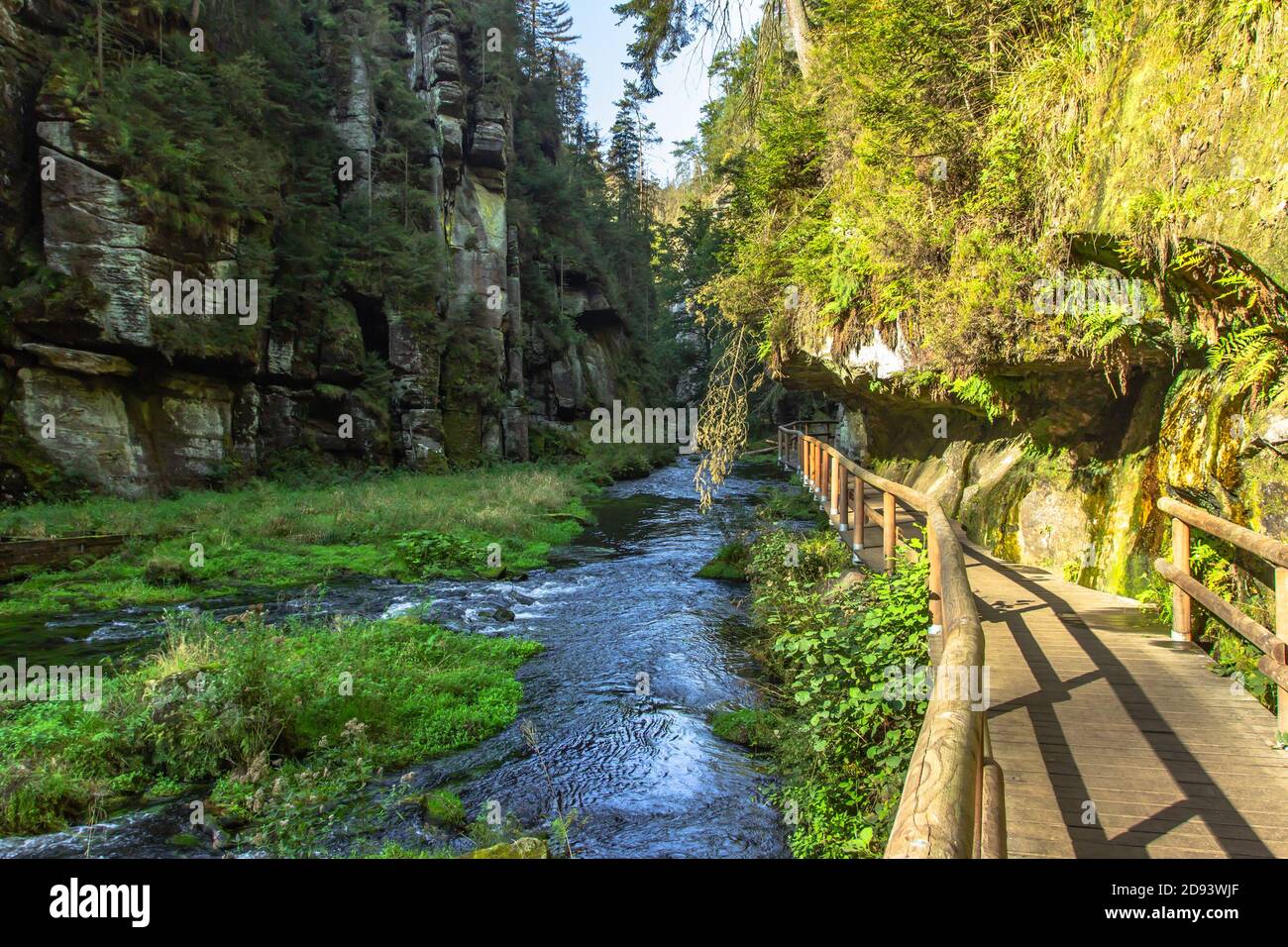 Sentier dans la gorge d'Edmund, parc national de la Suisse de Bohême, République tchèque. Terre de conte de fées.magnifique paysage naturel mythiquement du grès d'Elbe Banque D'Images