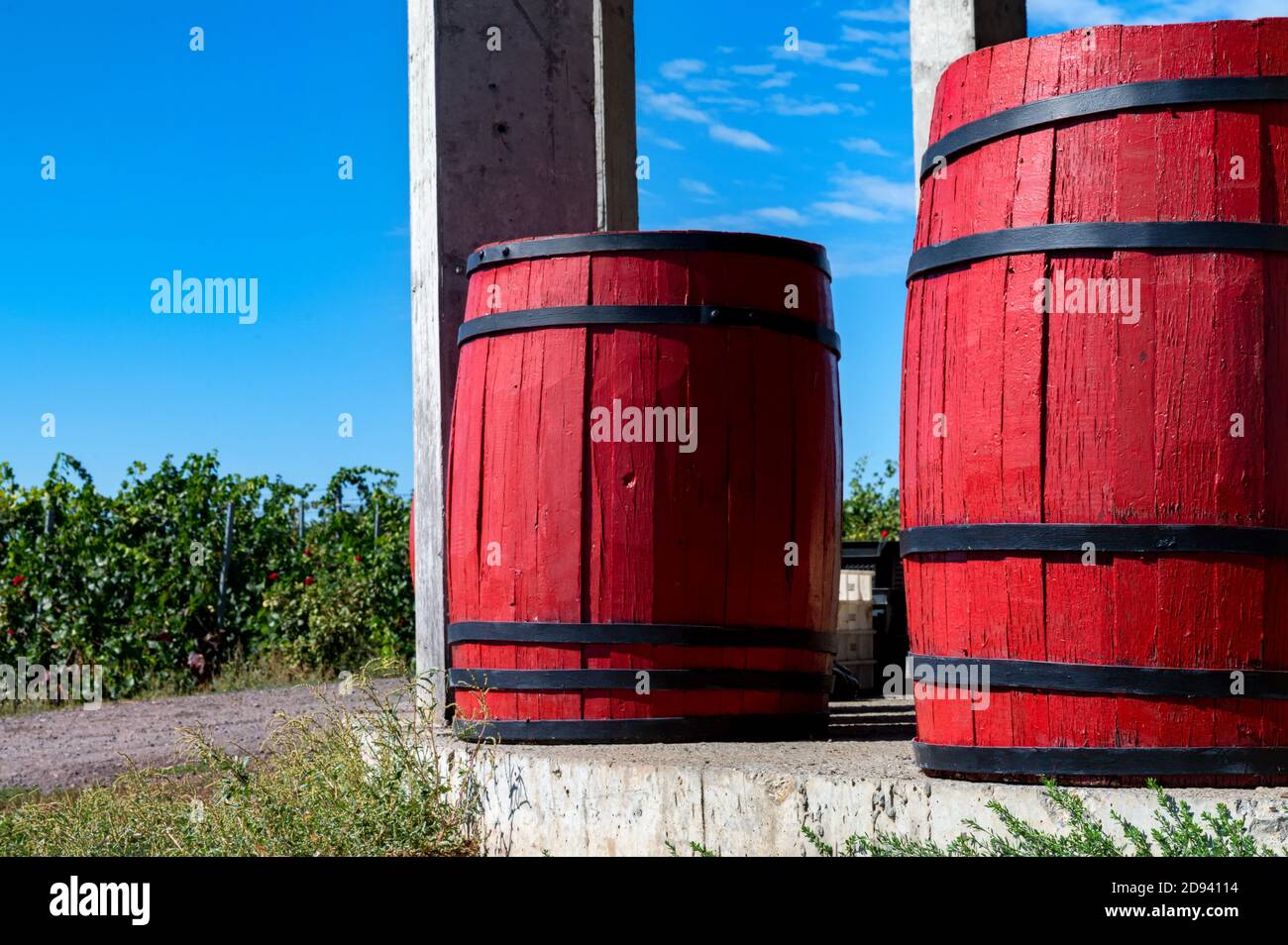 Gros plan sur le bois de tonneaux de vin à la lumière du soleil Banque D'Images