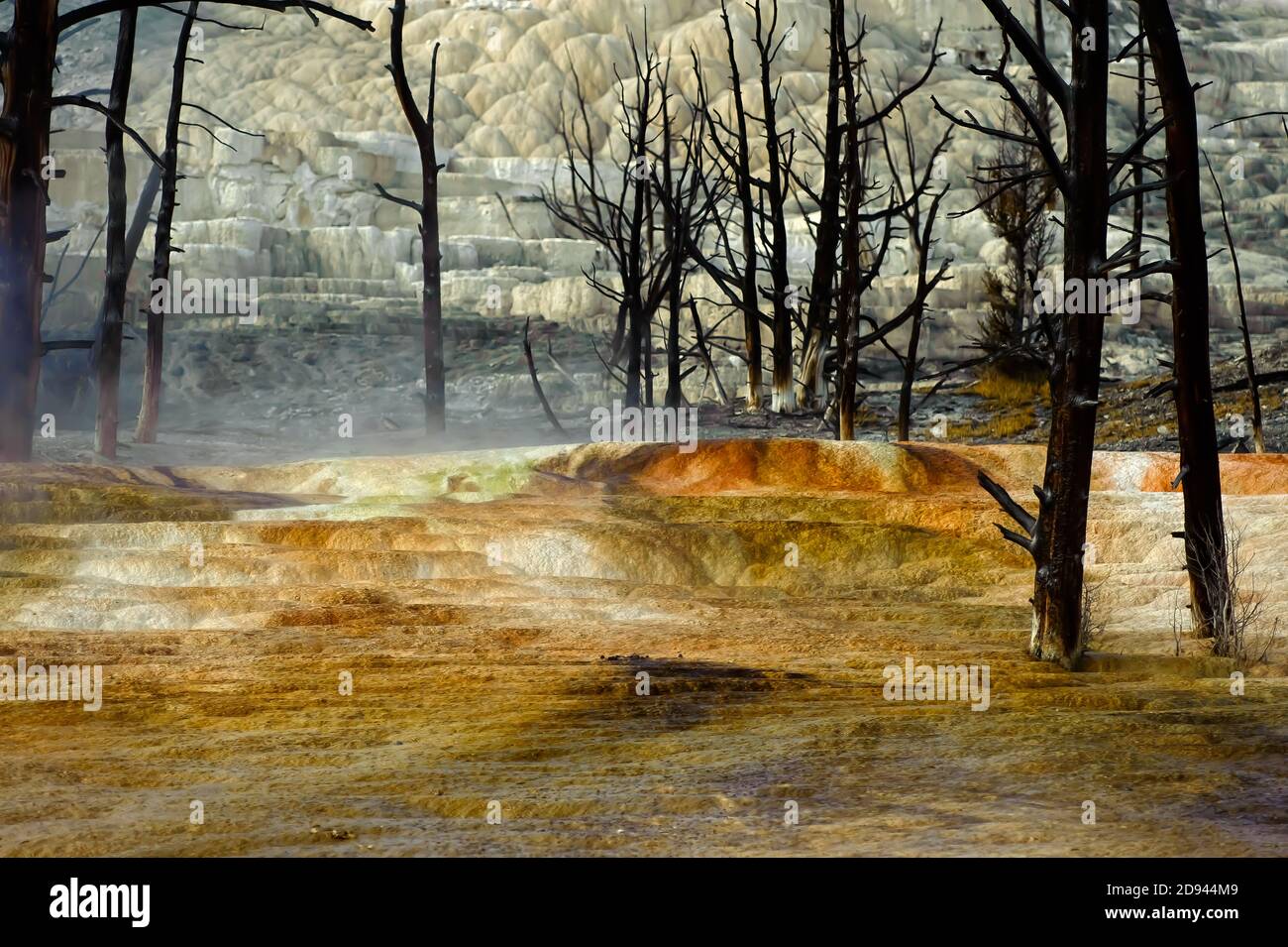 Paysage charmé de Canary Spring, Mammoth Hot Springs Banque D'Images