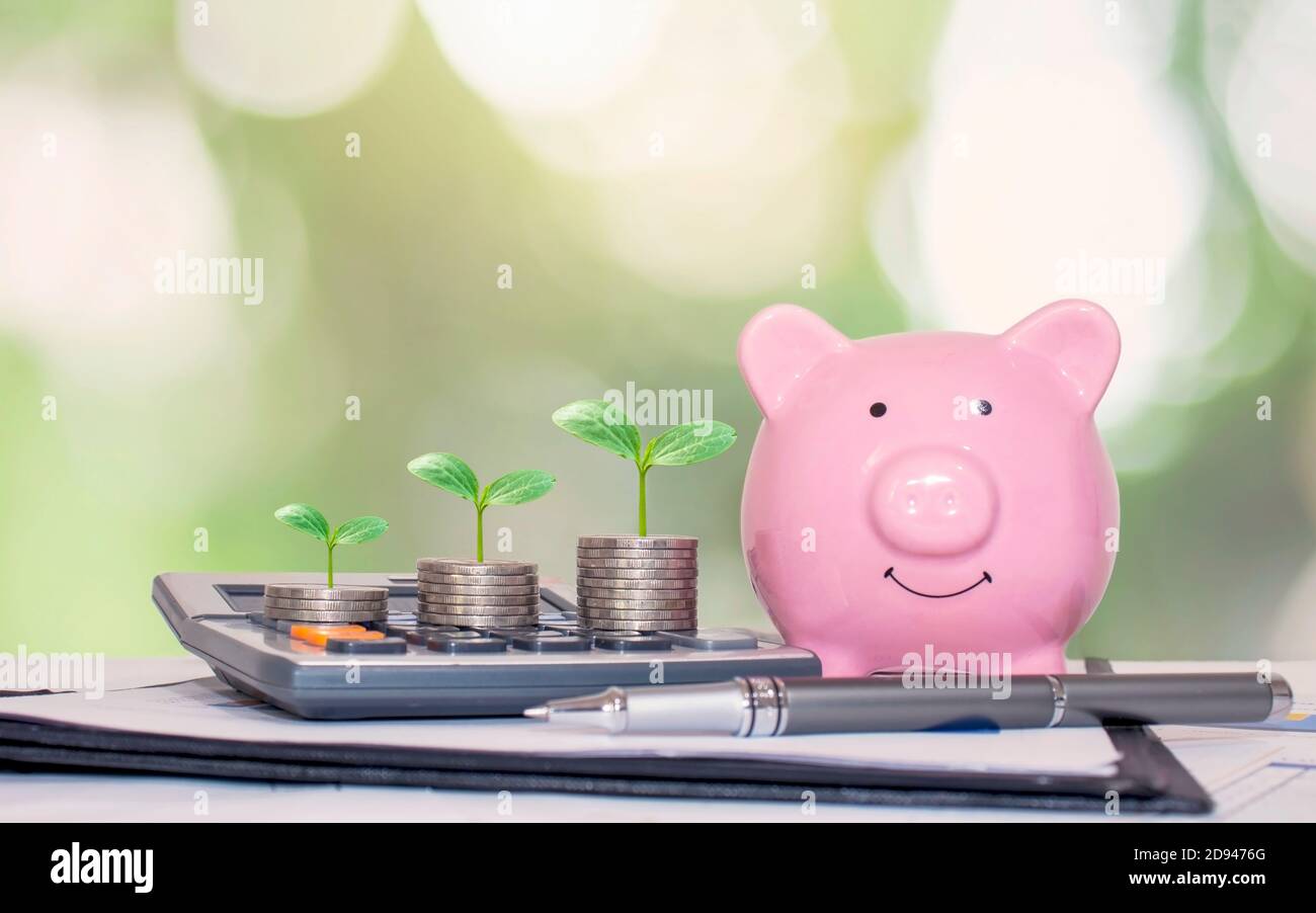 Plantez un arbre vert sur une pile d'argent et une calculatrice pour la croissance financière et des idées d'économie d'argent. Banque D'Images