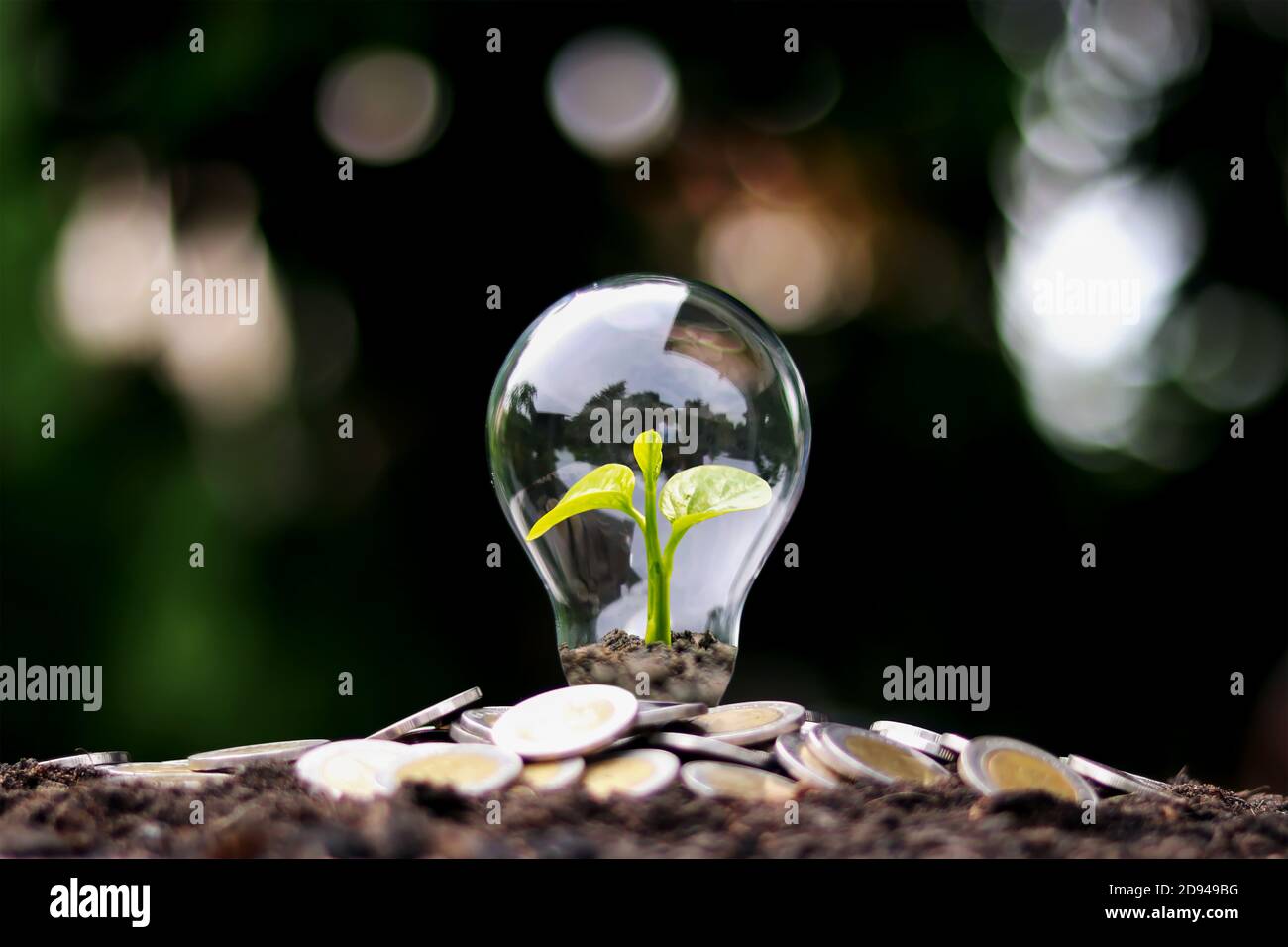 L'arbre pousse sur de l'argent dans des ampoules à économie d'énergie, le concept de croissance financière, d'économie d'énergie et de protection de l'environnement le jour de la Terre. Banque D'Images