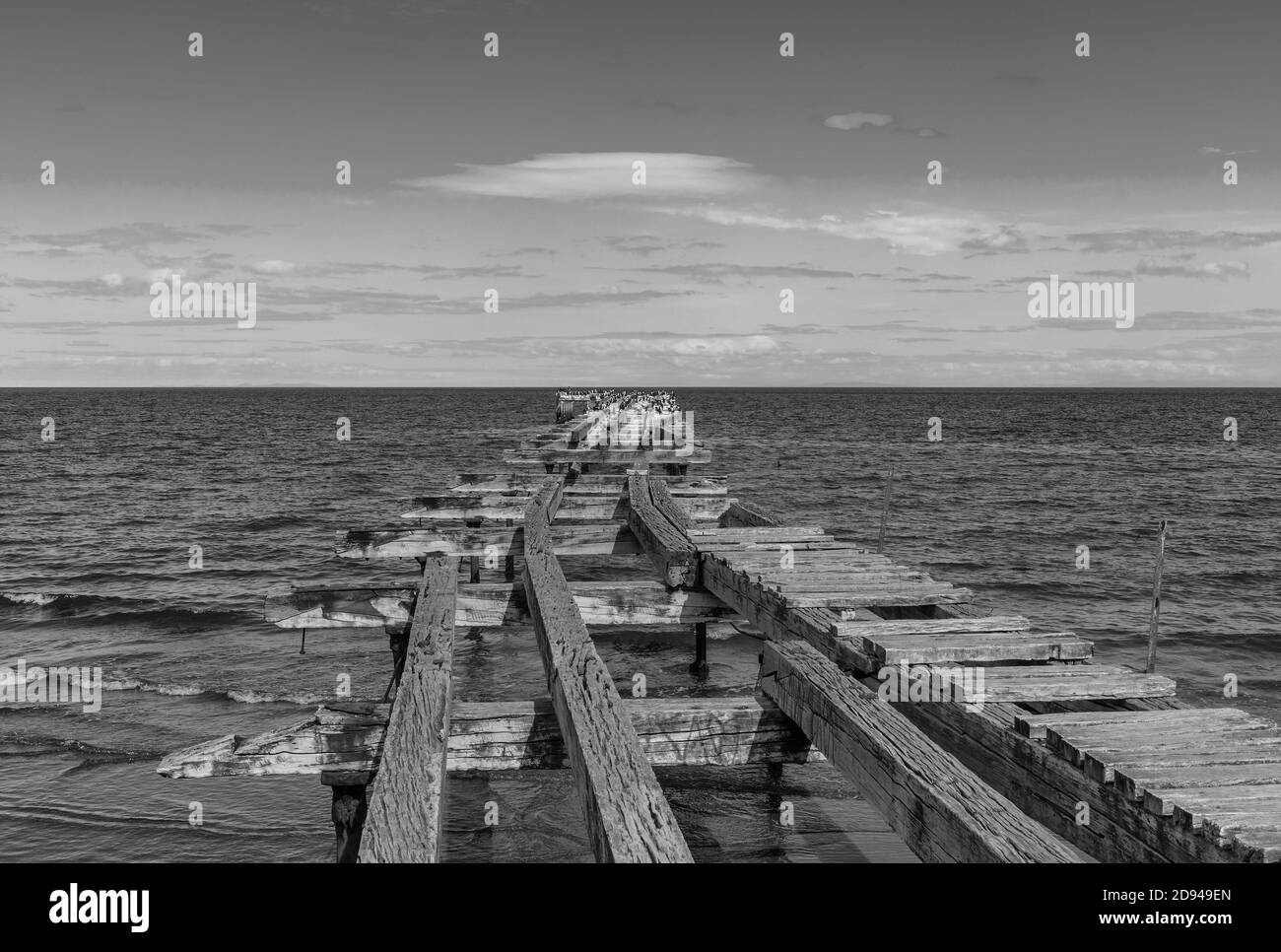 Cormorans sur un vieux quai à Punta Arenas, au Chili Banque D'Images