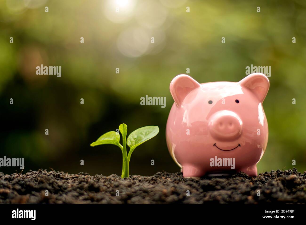 Arbre poussant sur le sol avec fond vert nature concept d'économie d'argent. Banque D'Images
