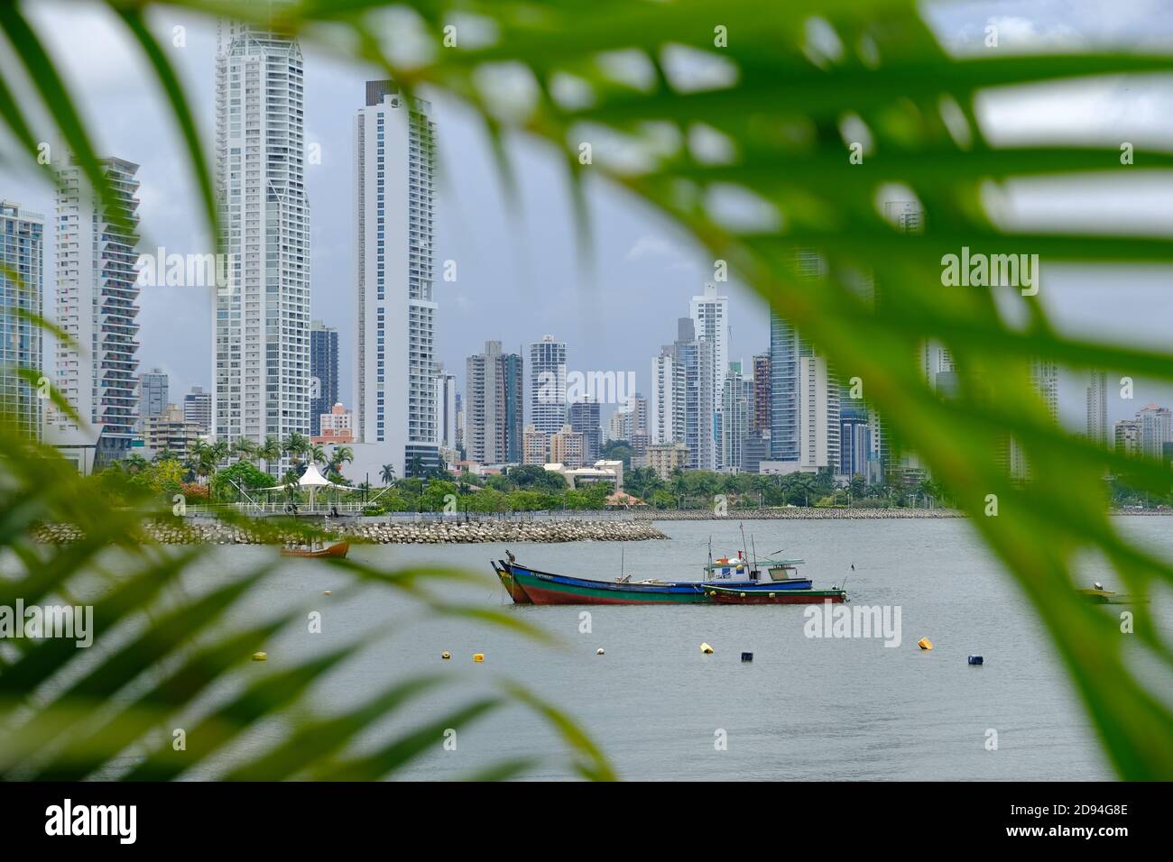 Panama City - vue panoramique de Panama City encadrée par des palmiers feuilles Banque D'Images