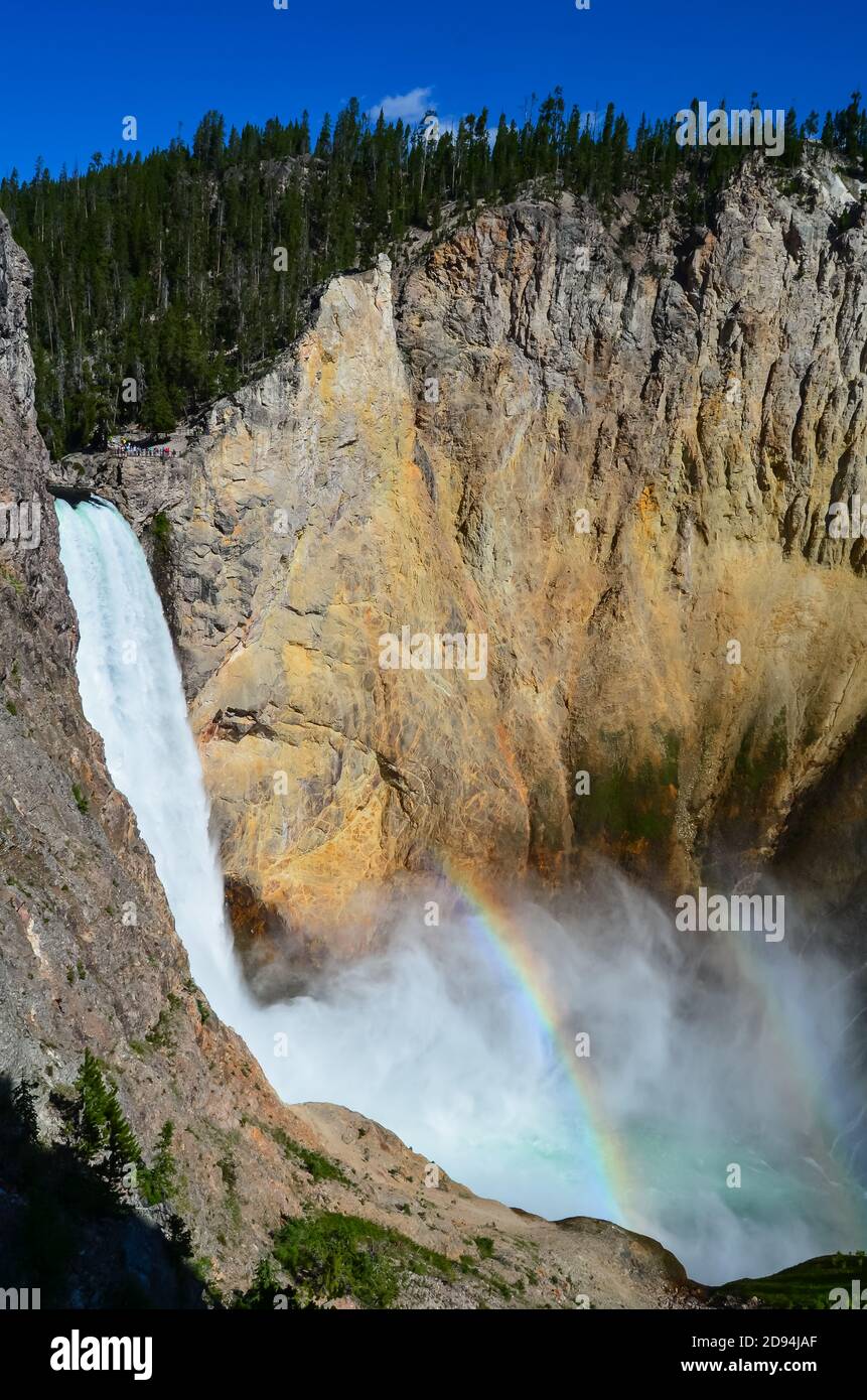 Photo verticale des célèbres chutes inférieures, Uncle Toms Trail, dans le Grand Canyon de Yellowstone Banque D'Images