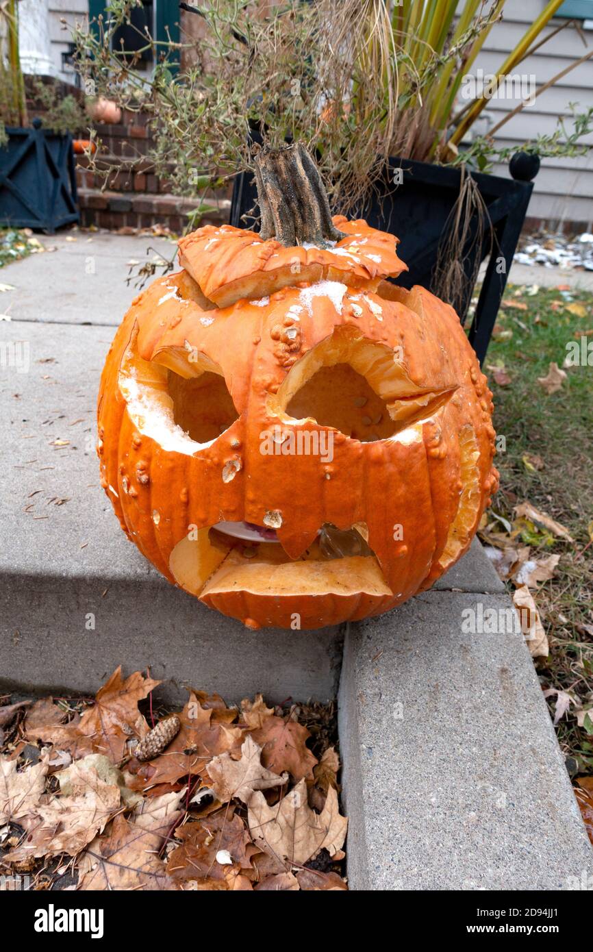 Une citrouille sculptée très triste avec un peu de neige comprend probablement son destin. St Paul Minnesota MN États-Unis Banque D'Images