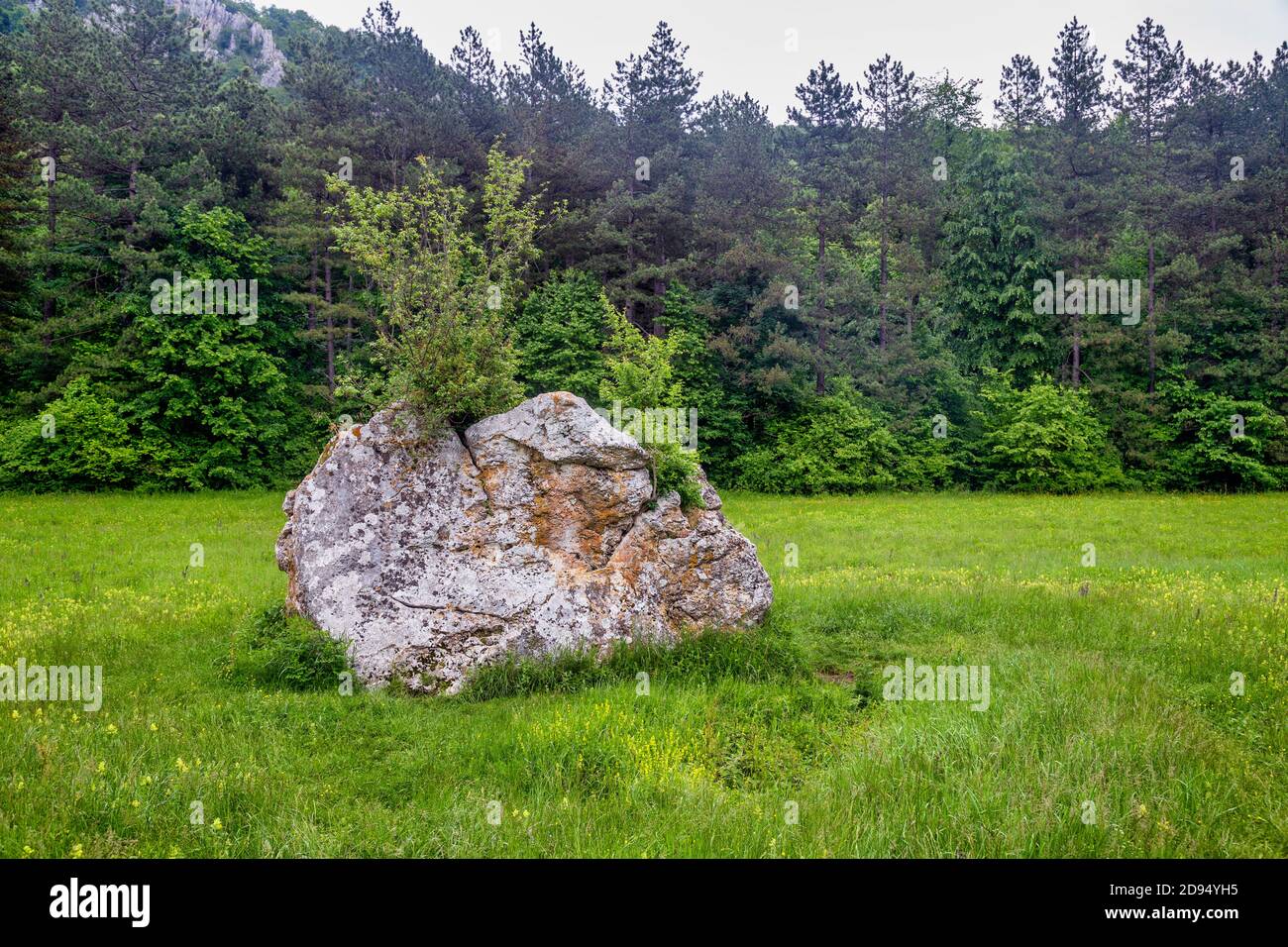 Célèbre Pierre d'amour à la montagne Ozren, Serbie. La légende dit que ceux qui échangent des baisers de voeux assis sur le rocher resteront ensemble pour toujours. Banque D'Images