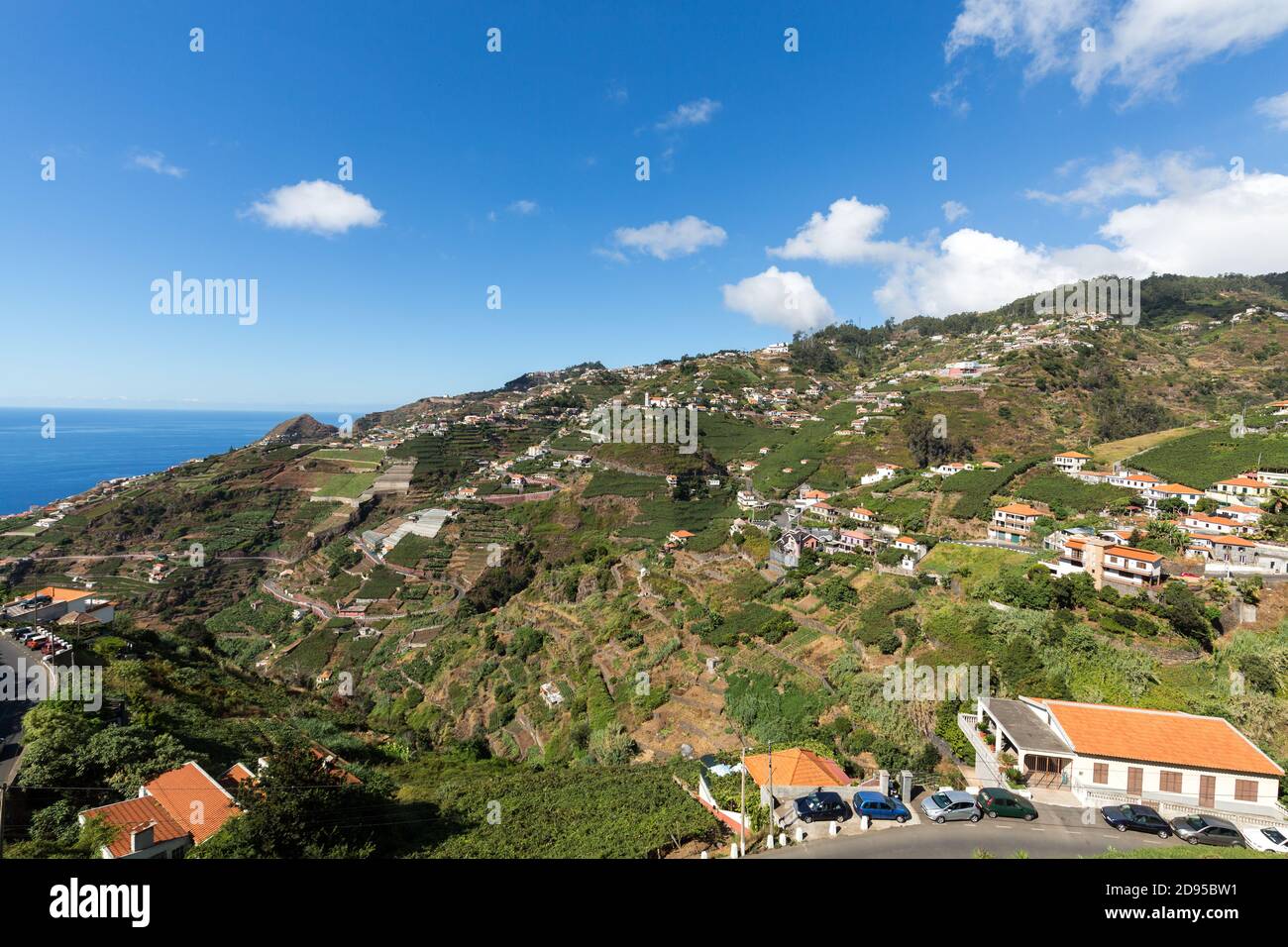 Vue sur les vignes de la Madeira Wine Company, Estreito de Camara de Lobos, Madère, Portugal Banque D'Images