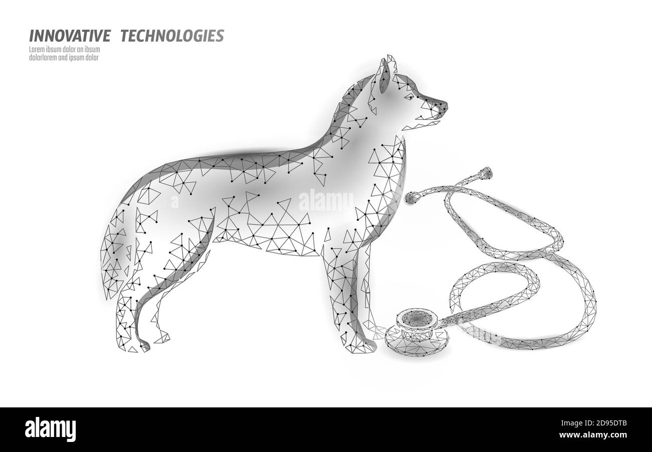 Vétérinaire clinique chien animal debout seul. Compagnon de silhouette de chien 3D polypolygonal basse. Illustration vectorielle du modèle de bannière du centre médical animal Illustration de Vecteur