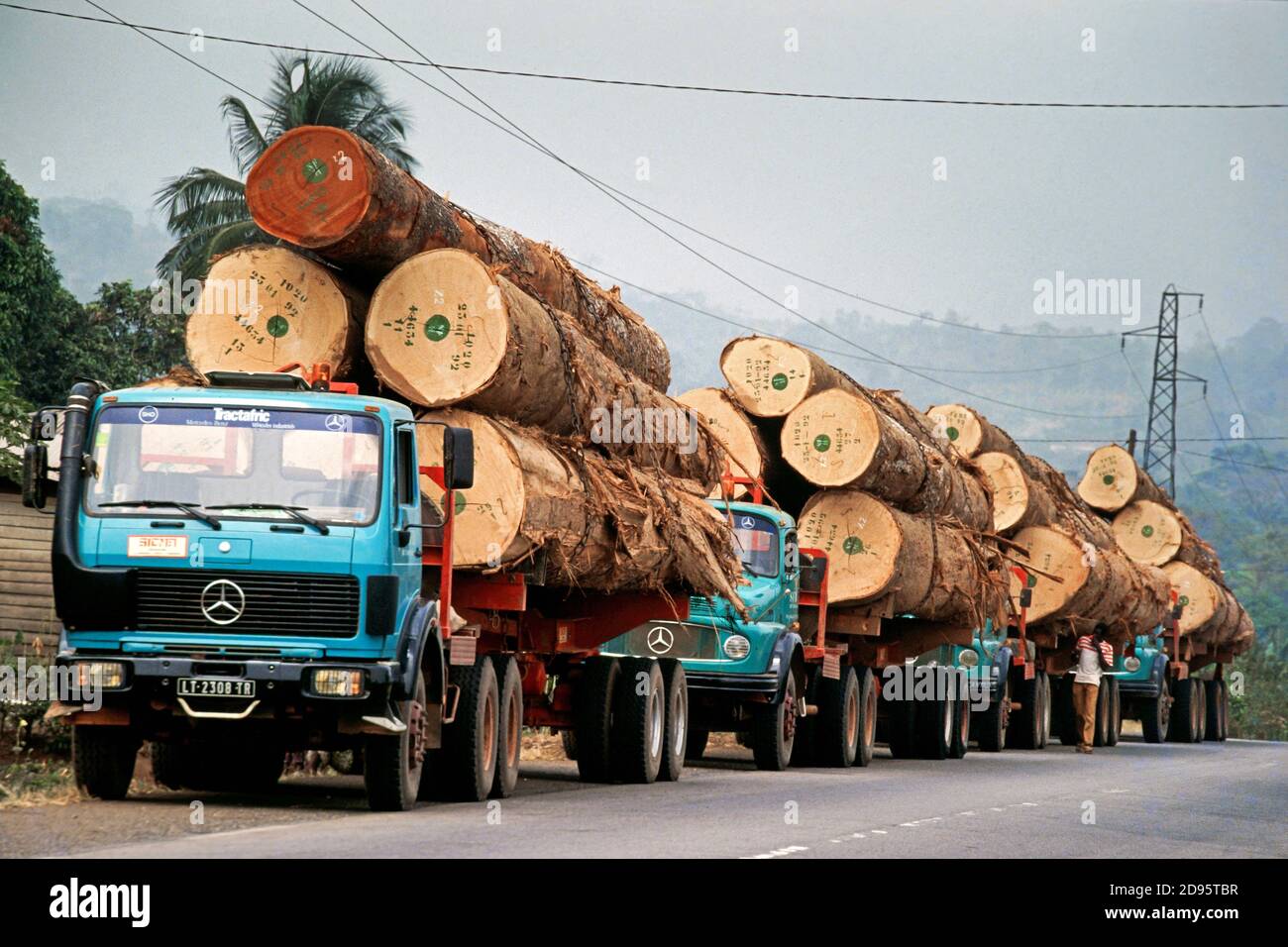 Camions chargés de bois tropical sur la route principale, région de l'Ouest, Cameroun, Afrique Banque D'Images