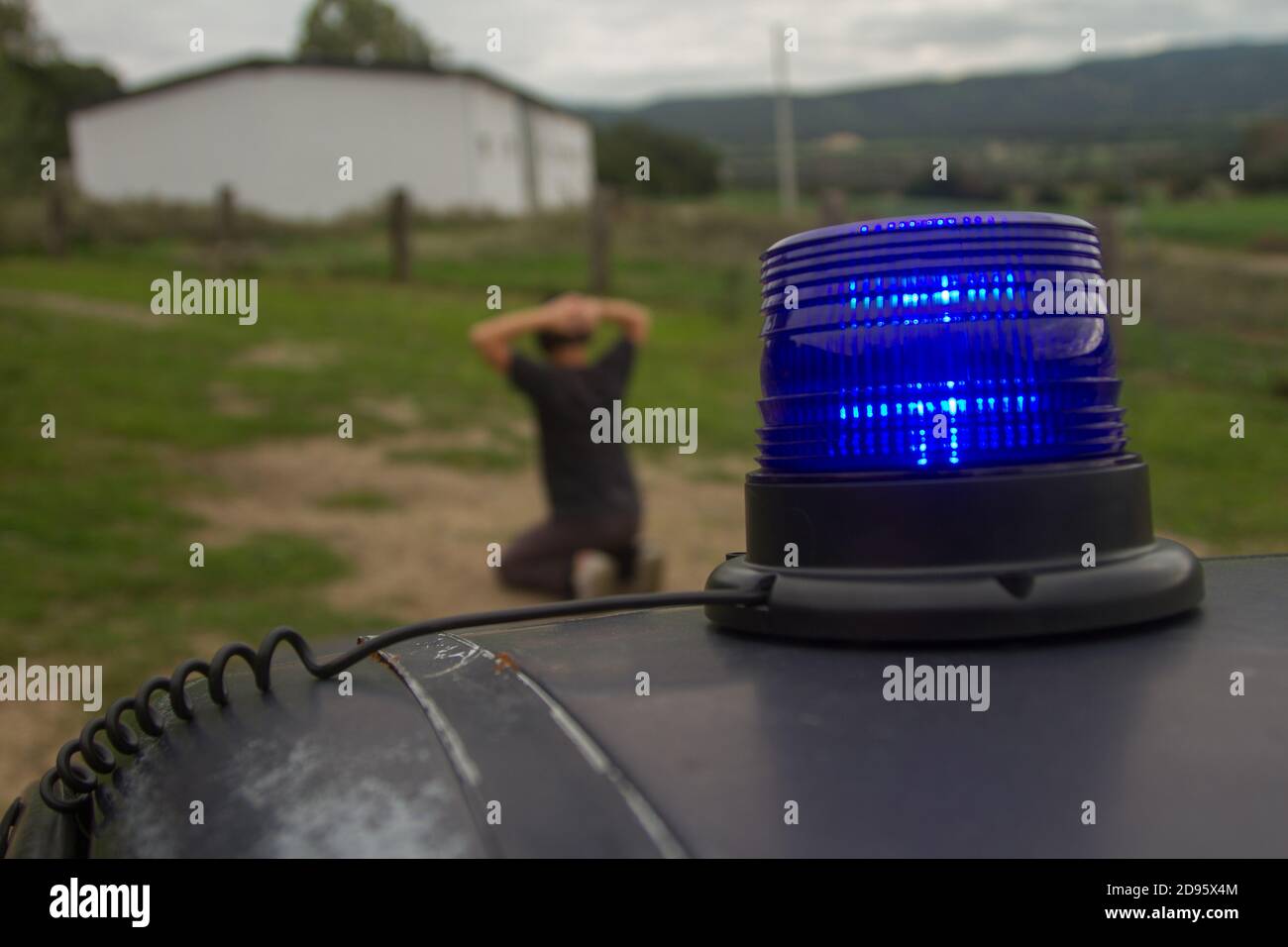 le voyant bleu de police clignote sur l'arrière-plan d'un fille arrêtée  Photo Stock - Alamy