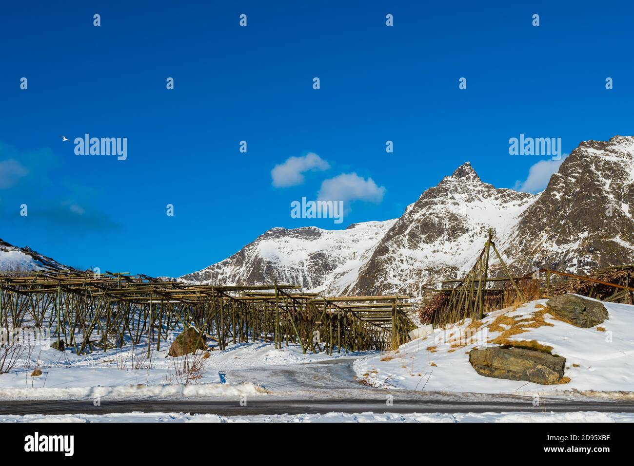 Vider les casiers en bois pour suspendre et sécher la morue à faire stockfish sur les îles Lofoten près de la ville de Å En Norvège avec des montagnes enneigées dans le backg Banque D'Images