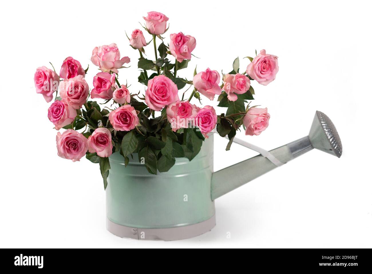 Bouquet de roses dans un pot d'eau. Décoration, studio. Banque D'Images