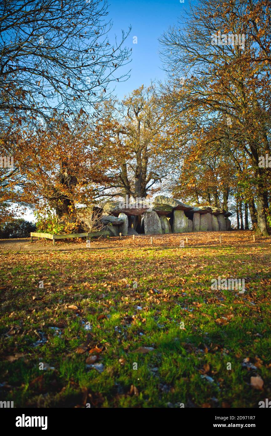 Esse (Bretagne, Nord-Ouest de la France) : dolmen, tombe de la galerie de la Roche-aux-Fees (le Rocher des Fées), monument mégalithique enregistré comme National Banque D'Images