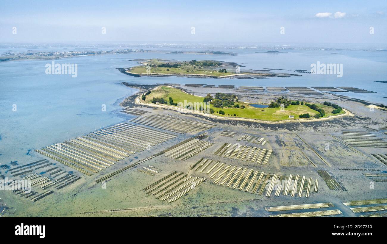 Vue aérienne de l'île Ilurique dans le golfe du Morbihan (Bretagne, Nord-Ouest de la France) Banque D'Images