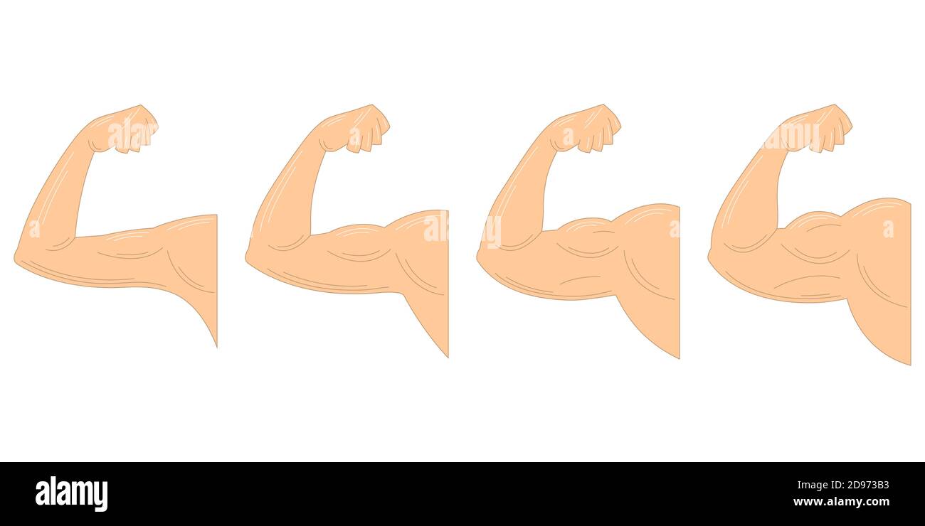 Croissance musculaire après l'exercice. Bras fort avec biceps contractés. Illustration de Vecteur