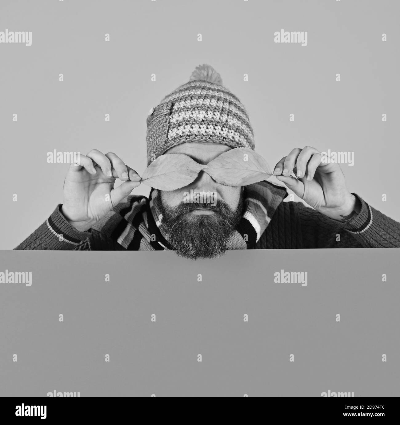 L'automne et le froid concept. L'homme détient les feuilles des arbres cerises jaunes sur fond rose, copiez l'espace. Octobre et Novembre temps idée. Hipster avec barbe et ses yeux cachés joue avec des feuilles sèches. Banque D'Images