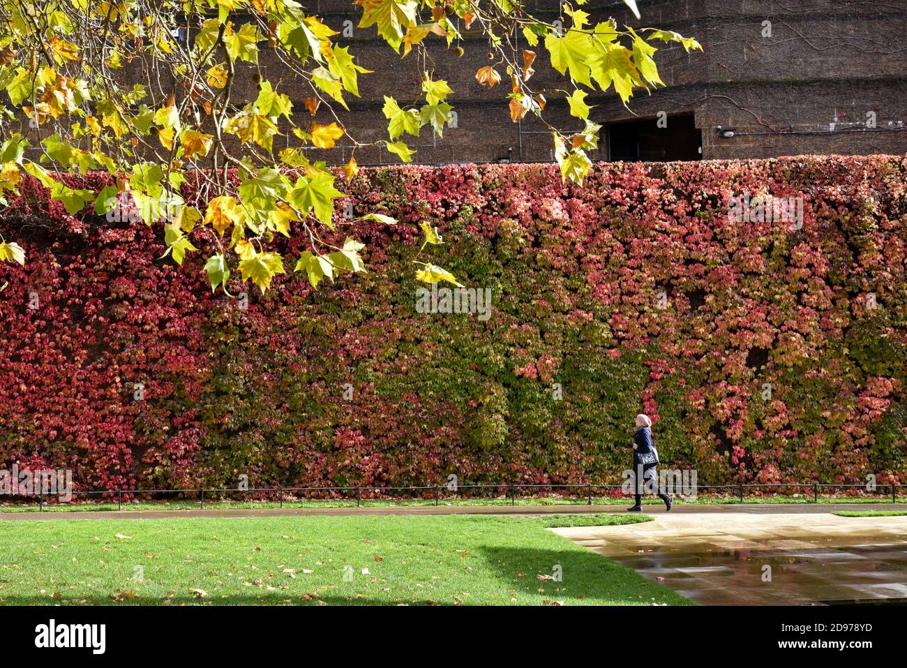 Admiralty Citadel, Horse Guards, Londres, Royaume-Uni. 3 novembre 2020. Météo au Royaume-Uni : couleurs d'automne sur la Citadelle de l'Amirauté. Crédit : Matthew Chattle/Alay Live News Banque D'Images