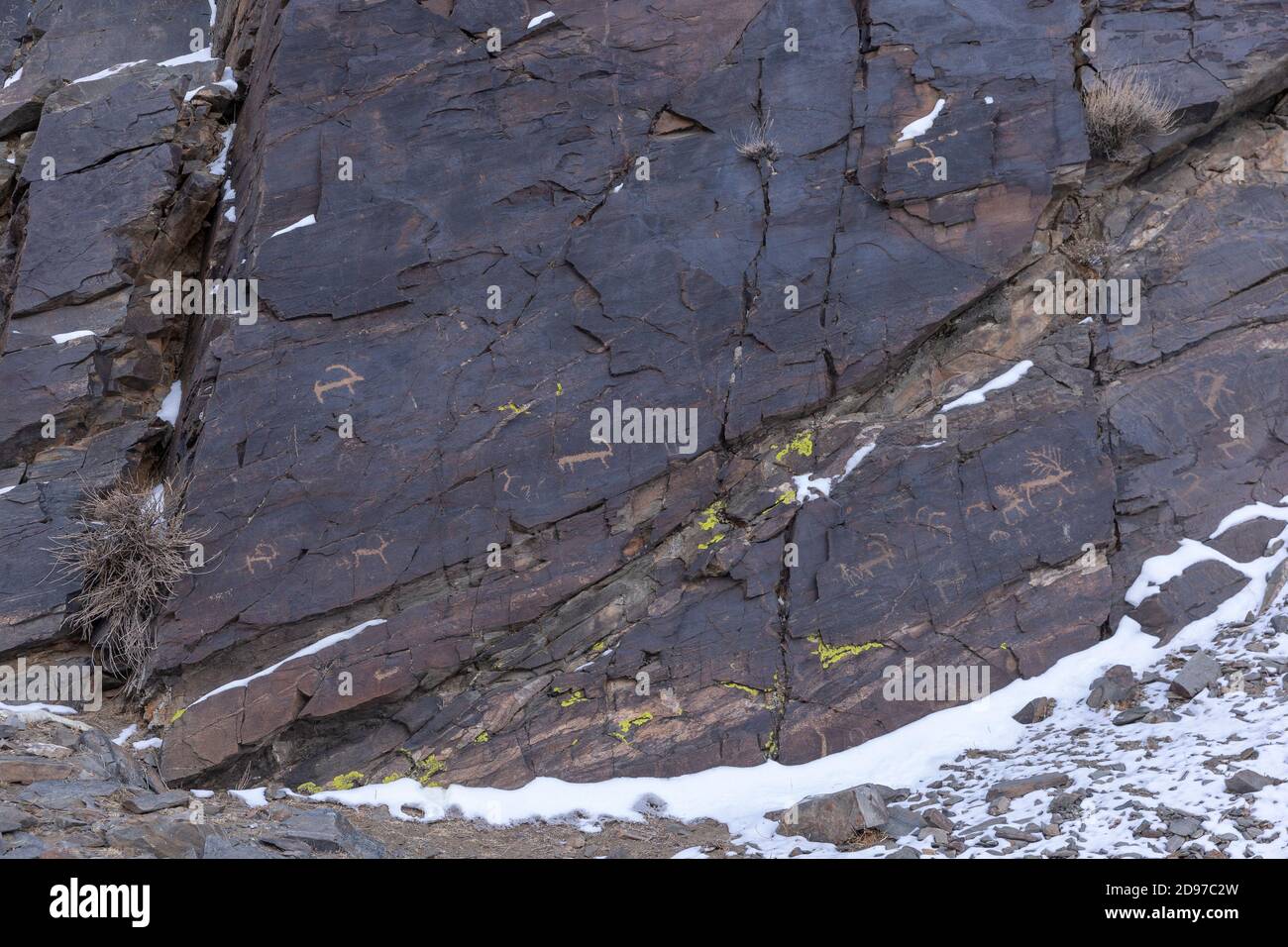 Vallée de sculptures de roche, rochers avec sculptures de roche, datant de - 8000 et - 3000 ans, montagnes Altai, Mongolie-Ouest, Mongolie Banque D'Images