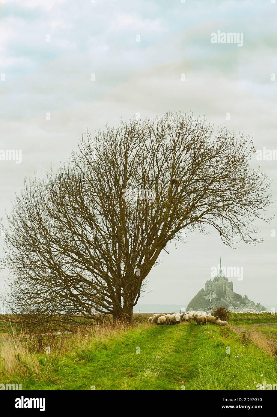 Nostalgique Banque D Image Et Photos Alamy
