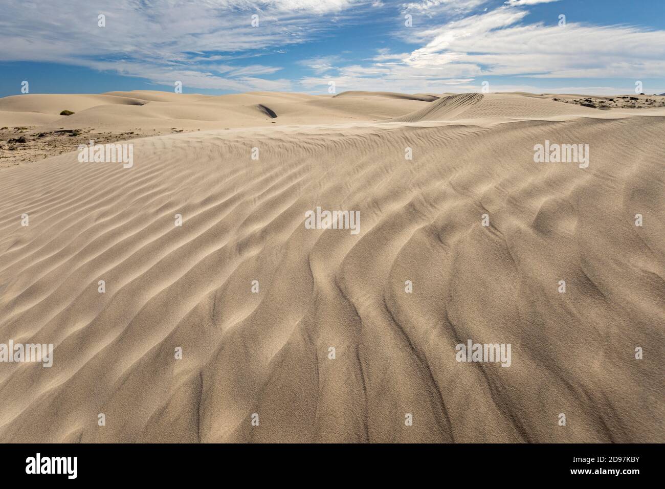 Vue sur les dunes de sable, Magdalena Bay, Puerto San Carlos, Baja California, Mexique. Banque D'Images