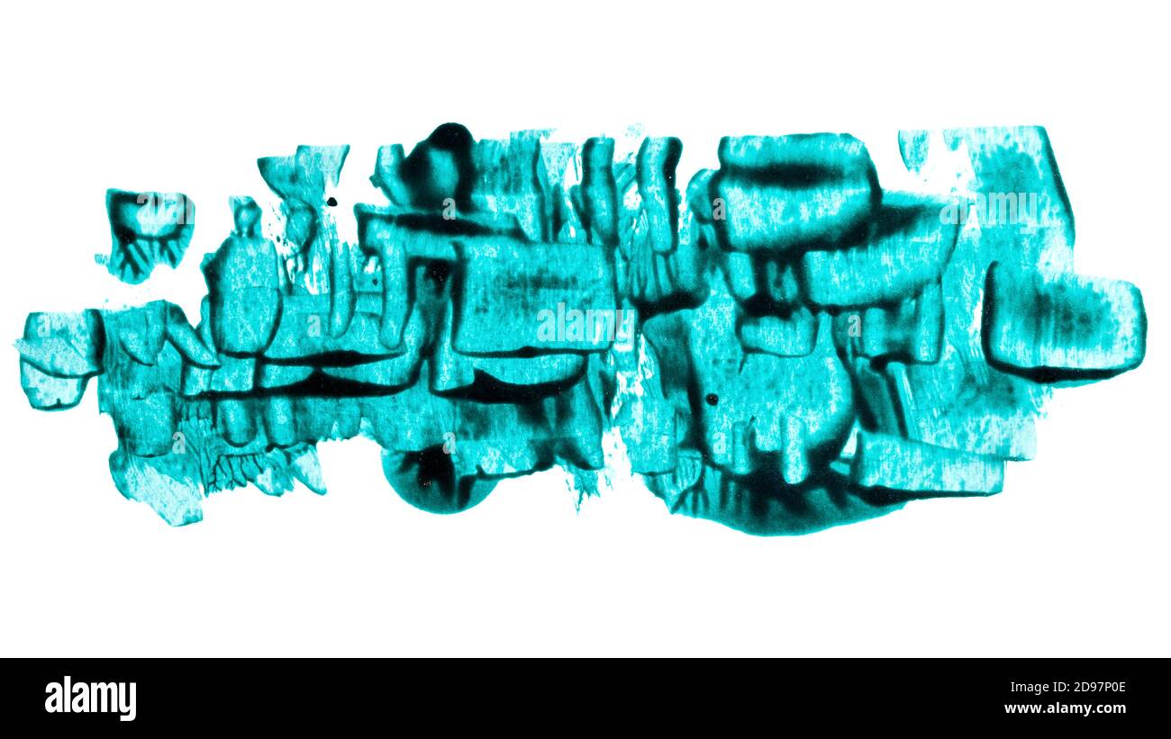 Traits de pinceau verts texturés expressifs isolés sur fond blanc. Illustration raster Banque D'Images