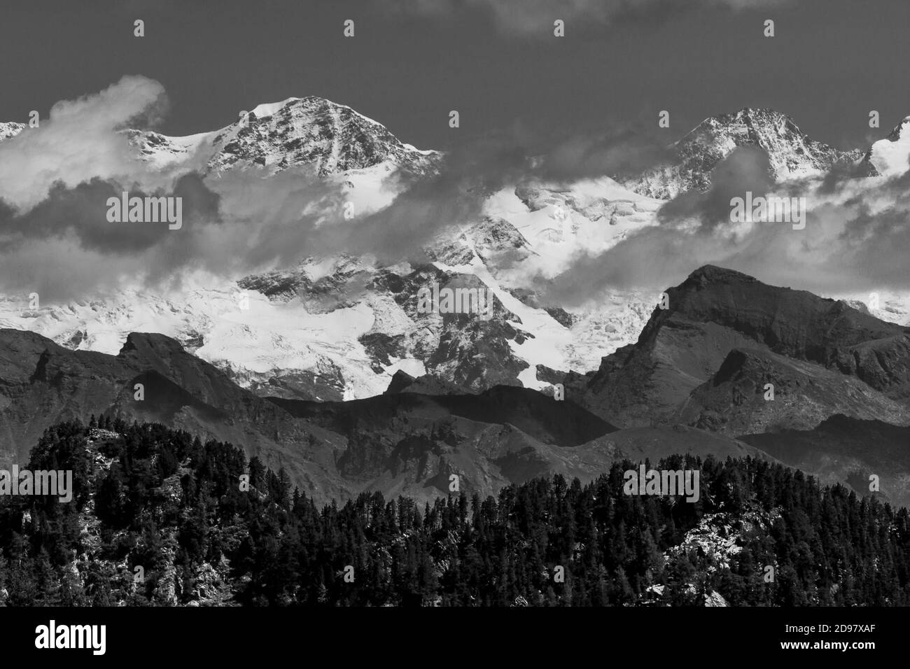 Pousses d'un trekking dans la vallée d'Aoste Banque D'Images