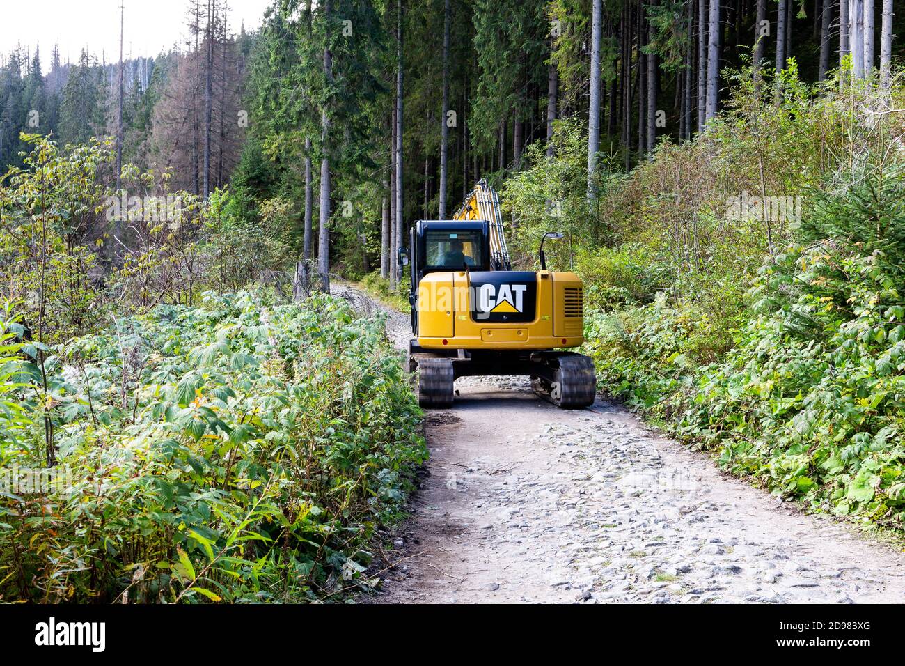 Montagnes Tatra, Pologne, 23/09/2020. Excavatrice jaune conduite sur un sentier de montagne dans la forêt de conifères dans les montagnes Tatra, Pologne. Banque D'Images