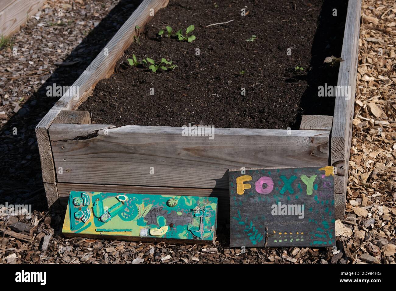 Jardins urbains avec mini-bibliothèque, tuyau spiralé, canards et oies, légumes, fleurs, kale, tournesol, tomates, poivrons et tuyauterie en cuivre pour l'eau. Banque D'Images