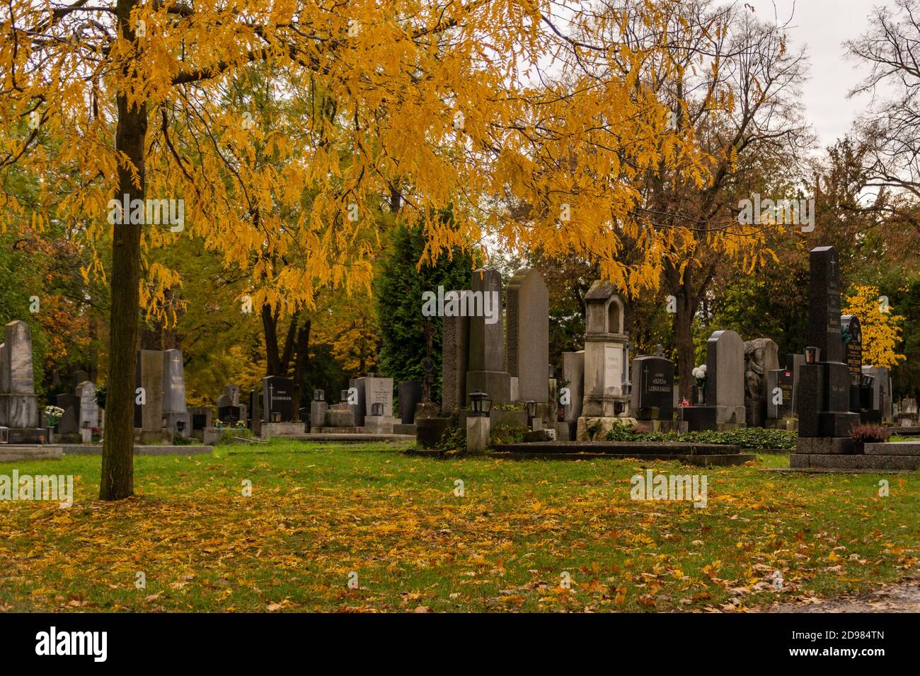 Image du cimetière central de Vienne. Le cimetière central de Vienne est l'un des plus grands cimetières du monde, avec plus de 300.000 cimetières. Banque D'Images